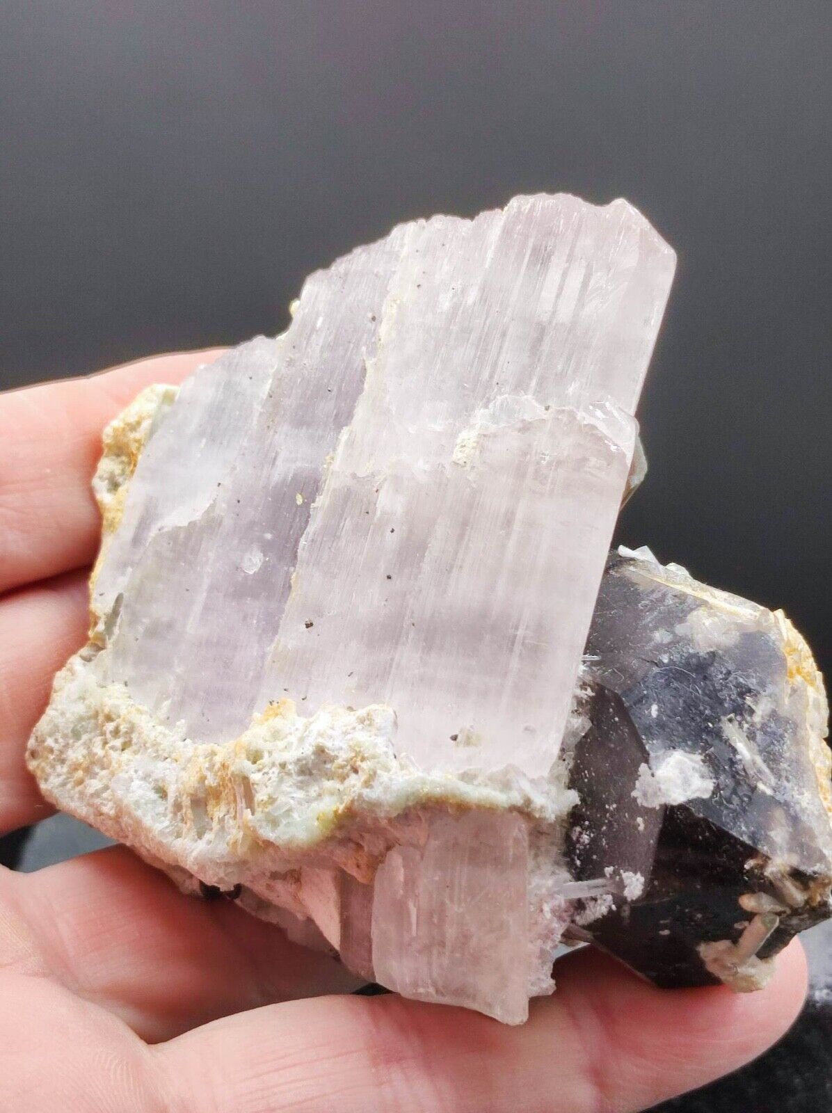 Top RARE Purple Kunzite Crystal + Morion Quartz