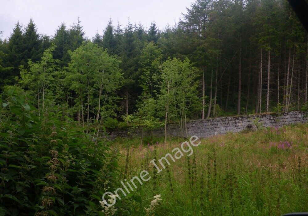 Photo 6x4 Masonry wall with woodland beyond Tynan Photographer is situate c2011