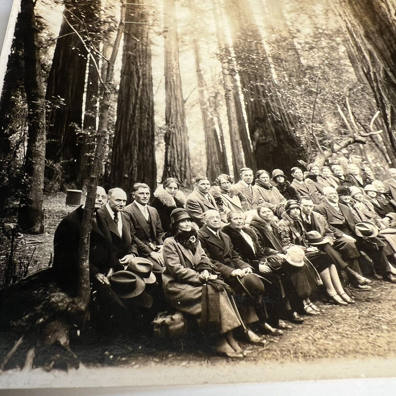Vintage 1927 Photo, Group Picture, Muir Woods National Monument, California