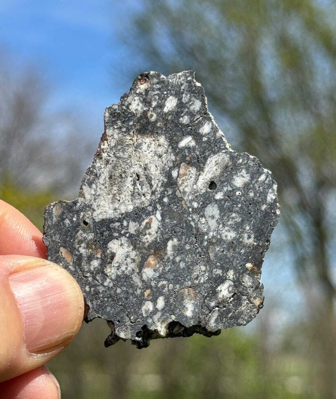 Aubrite Meteorite  13.7g  NWA 15304  STUNNING AUBRITE **From Planet Mercury?