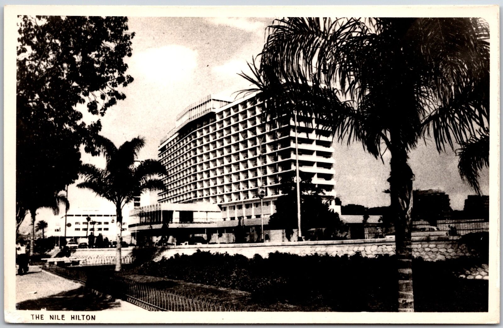 The Nile Hilton Egypt Hotel Palms Real Photo RPPC Postcard