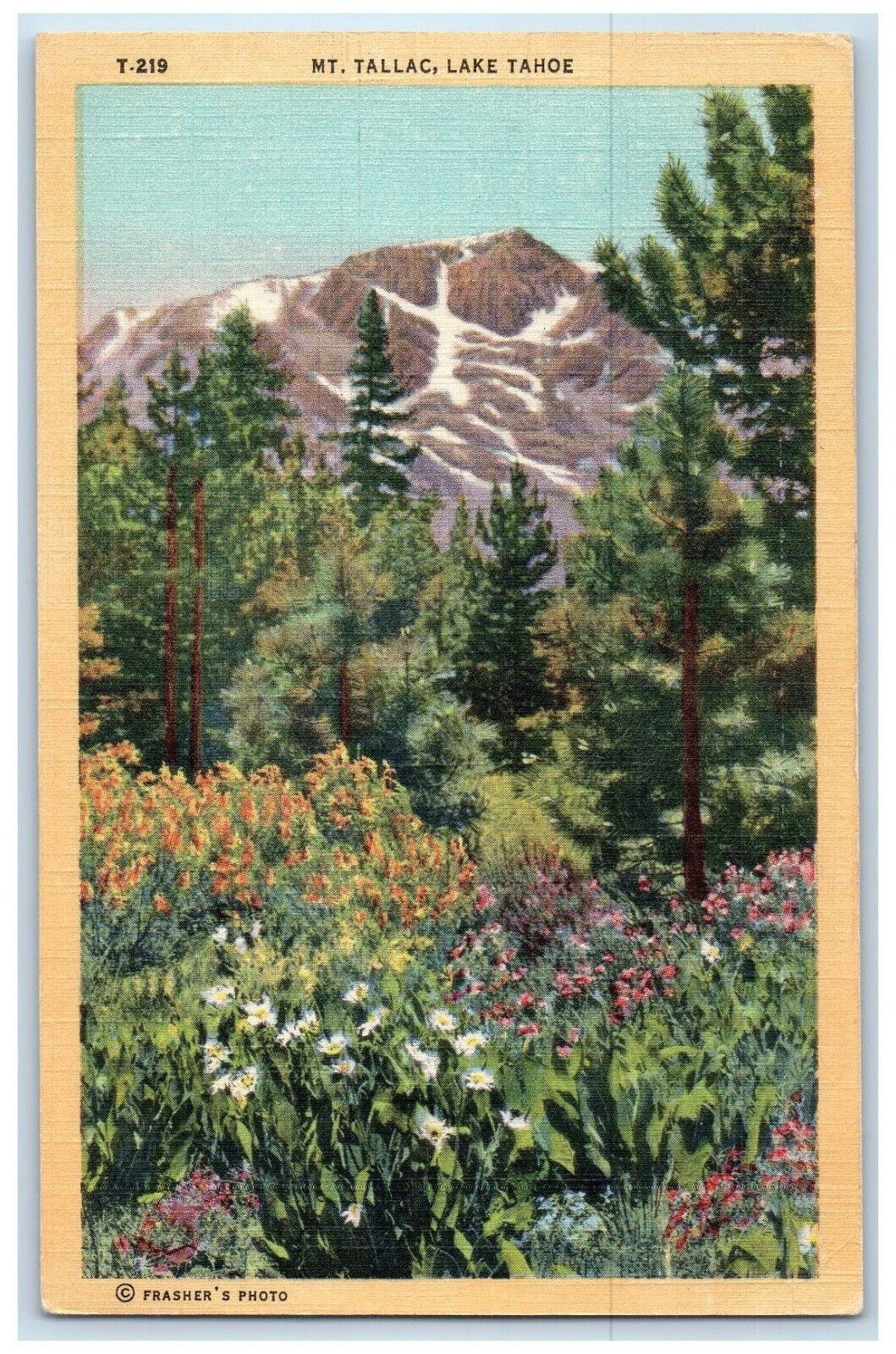 1946 Mt. Tallac Lake Tahoe California CA, Trees Flowers Scene Vintage Postcard