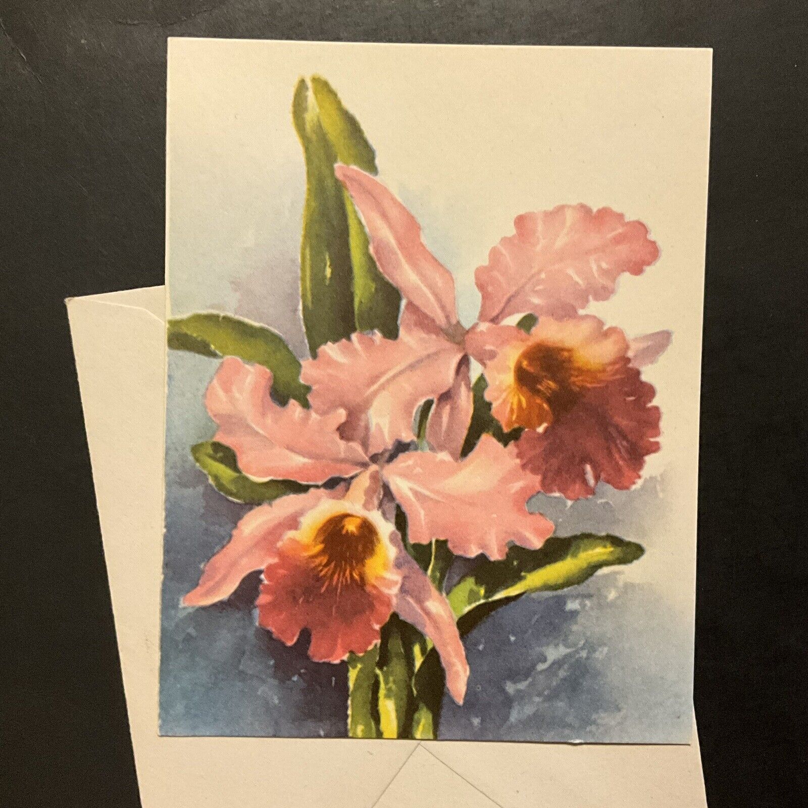Vintage Greeting Card Beautiful Pink Iris Watercolor Religious Bible Verses