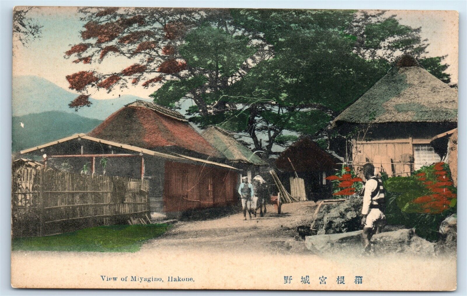 Postcard View of Miyagino, Hakone, Japan H177