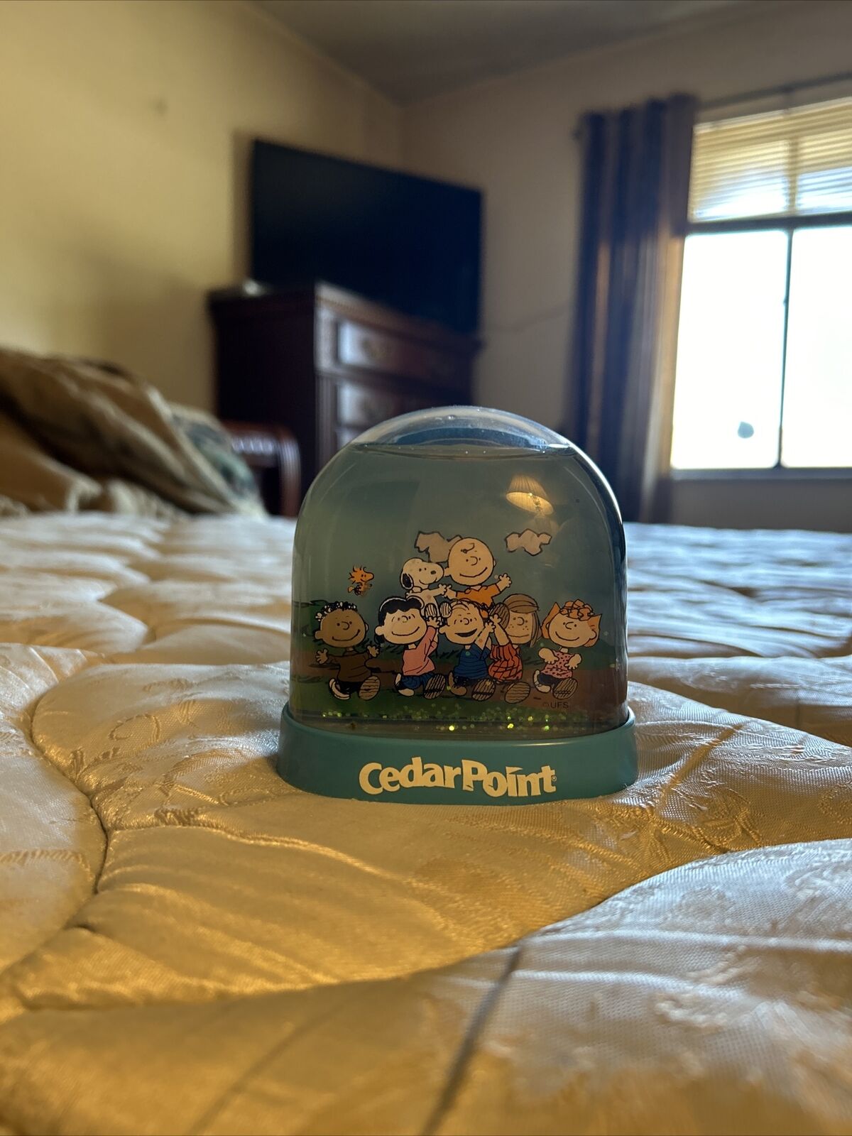 Vintage Cedar Point-(PEANUTS GANG) Souvenir  Snow Globe