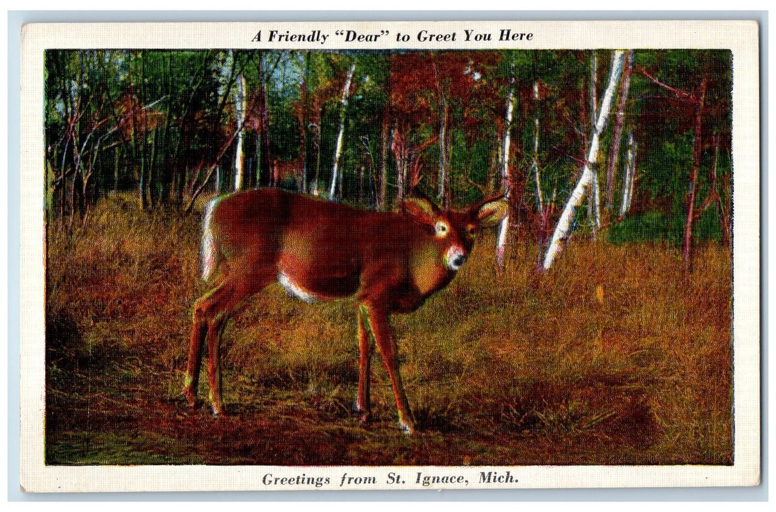St. Ignace Michigan MI Postcard A Friendly Dear To Greet You Here c1940s Vintage