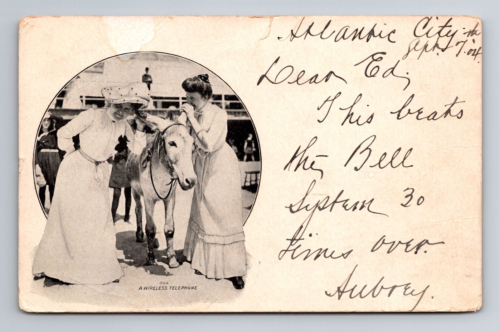 Two Ladies Talking to Mule, Humorous General Greeting, c1904 Vintage Postcard