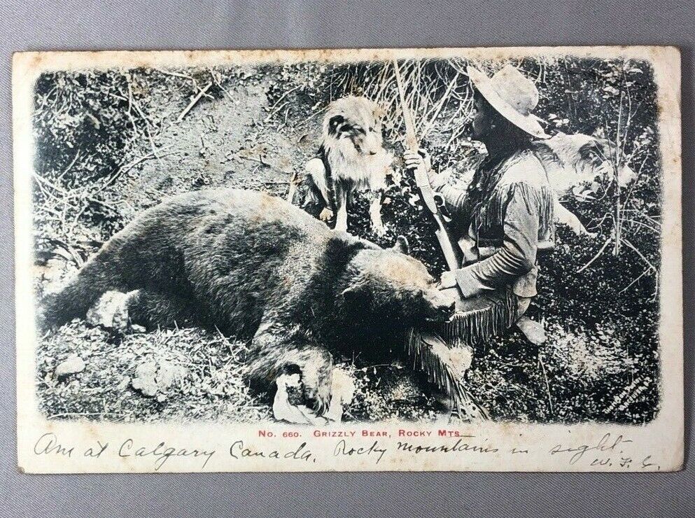1907 HUNTING GRIZZLY BEAR Dog ROCKY MOUNTAINS Shotgun Postcard ANTIQUE