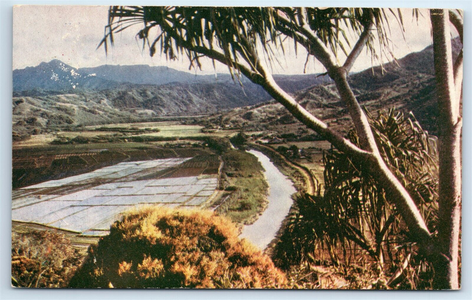 Postcard Honalei Valley, 100 mi from Honolulu, Hawaii H162