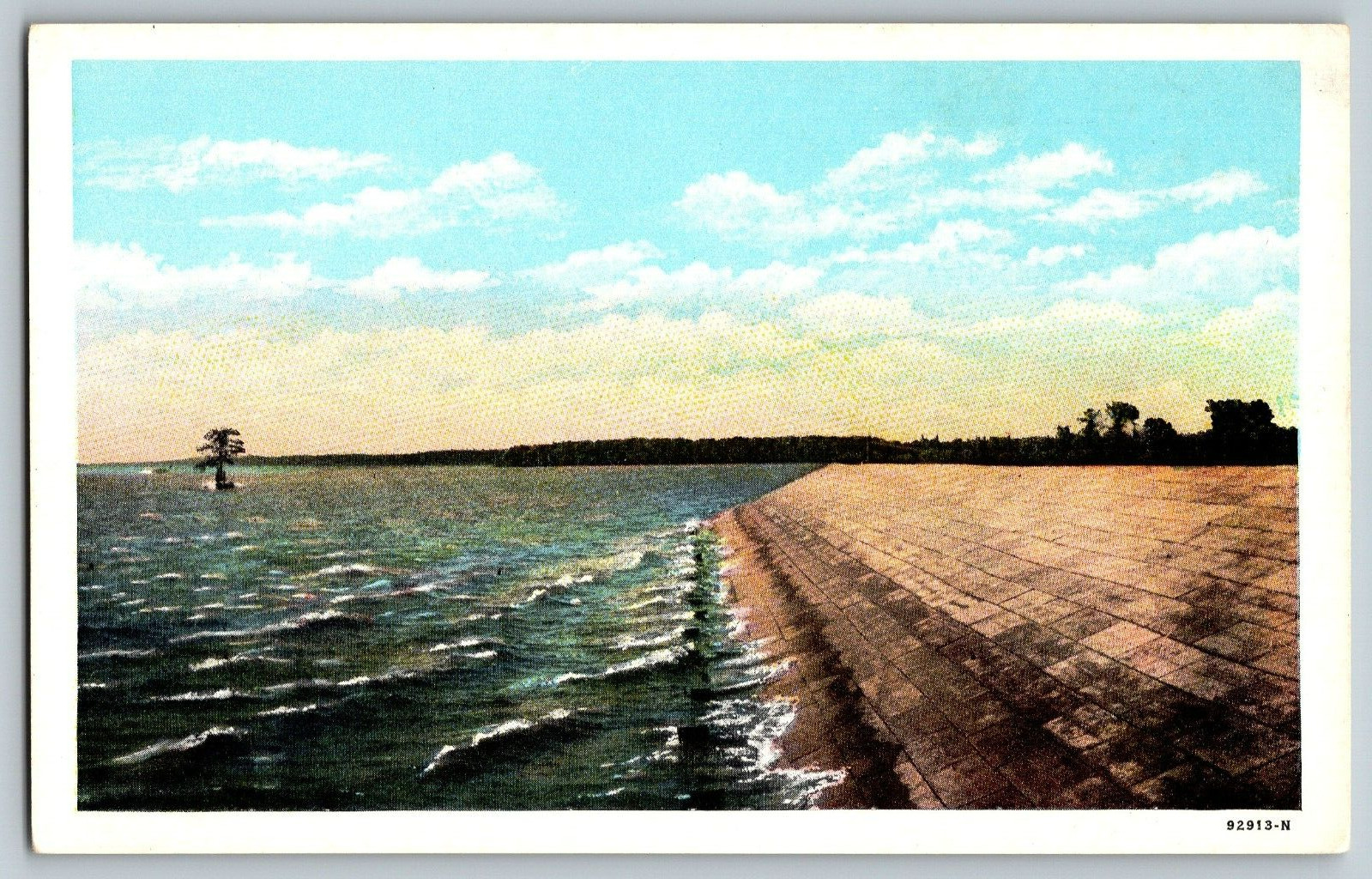 Jamestown Island, Virginia - Showing Lone Cypress - Vintage Postcard - Unposted
