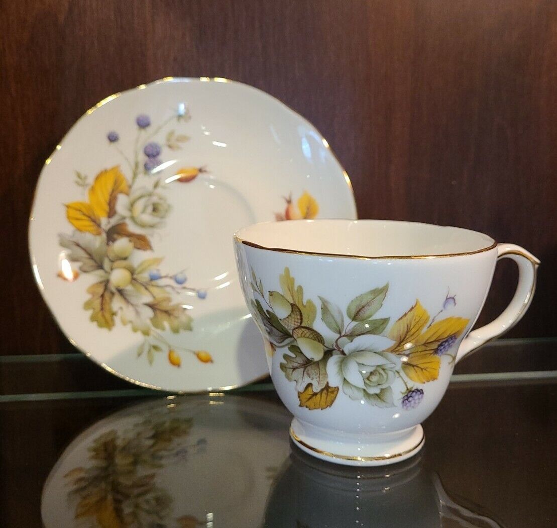 Rare Vintage Duchess Autumn TeaCup & Saucer Made In England Excellent Condition 