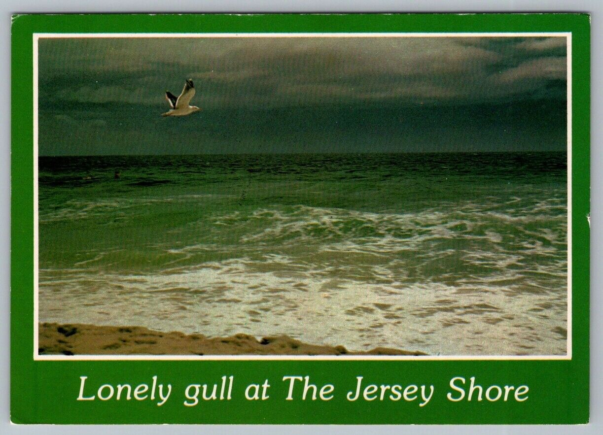 Postcard New Jersey Lonely Gull and Waves The Jersey Shore