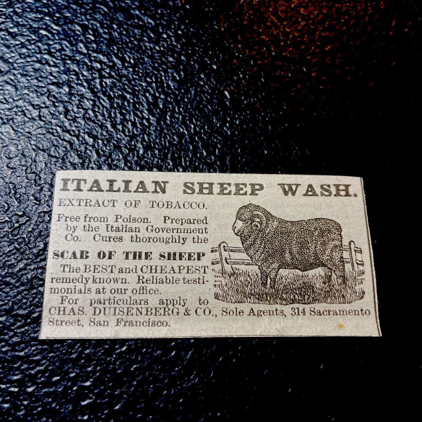 ORIGINAL 1882 Sheep Farm Advertising - San Francisco - California