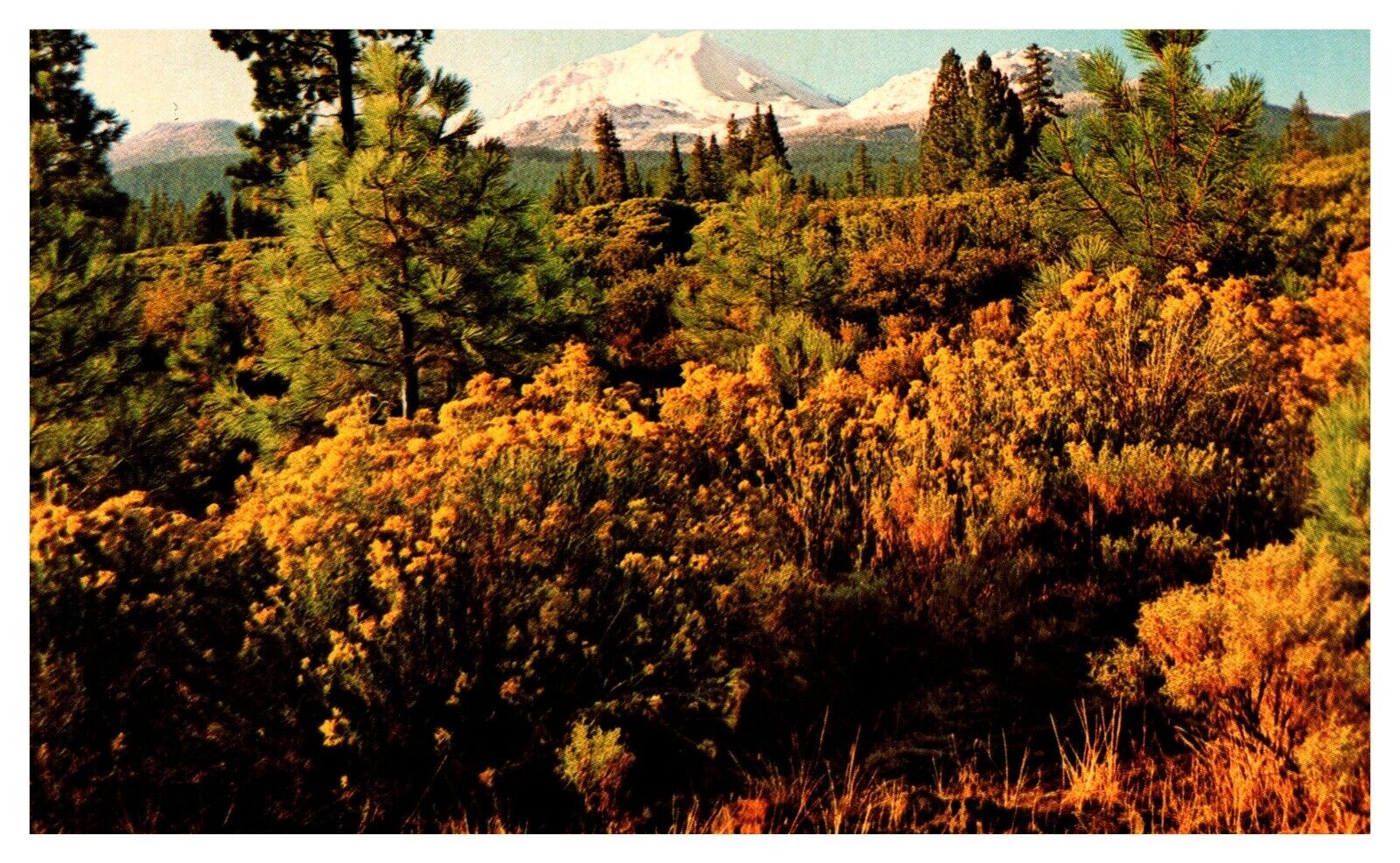 postcard Mt. Lassen, Lassen Volcanic National Park 4110