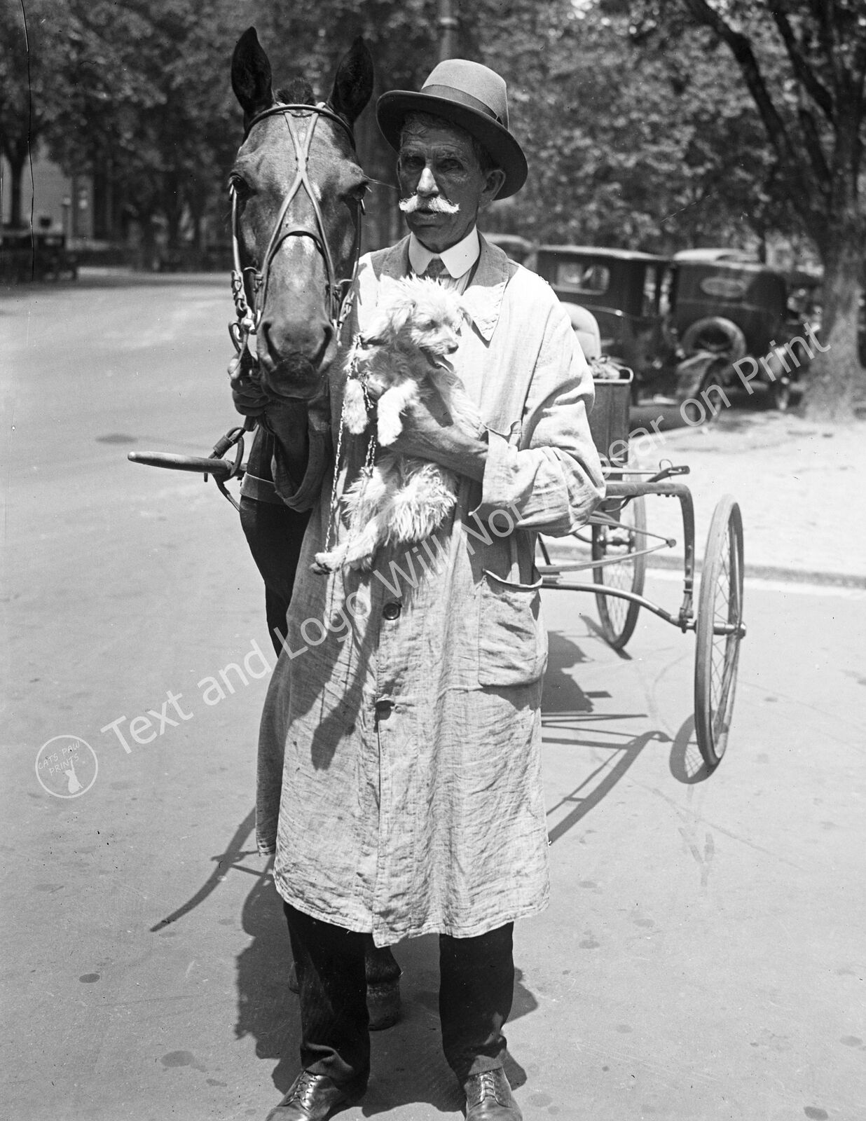 1924 Man with Horse and Cart, and a Dog Vintage Old Photo Reprint