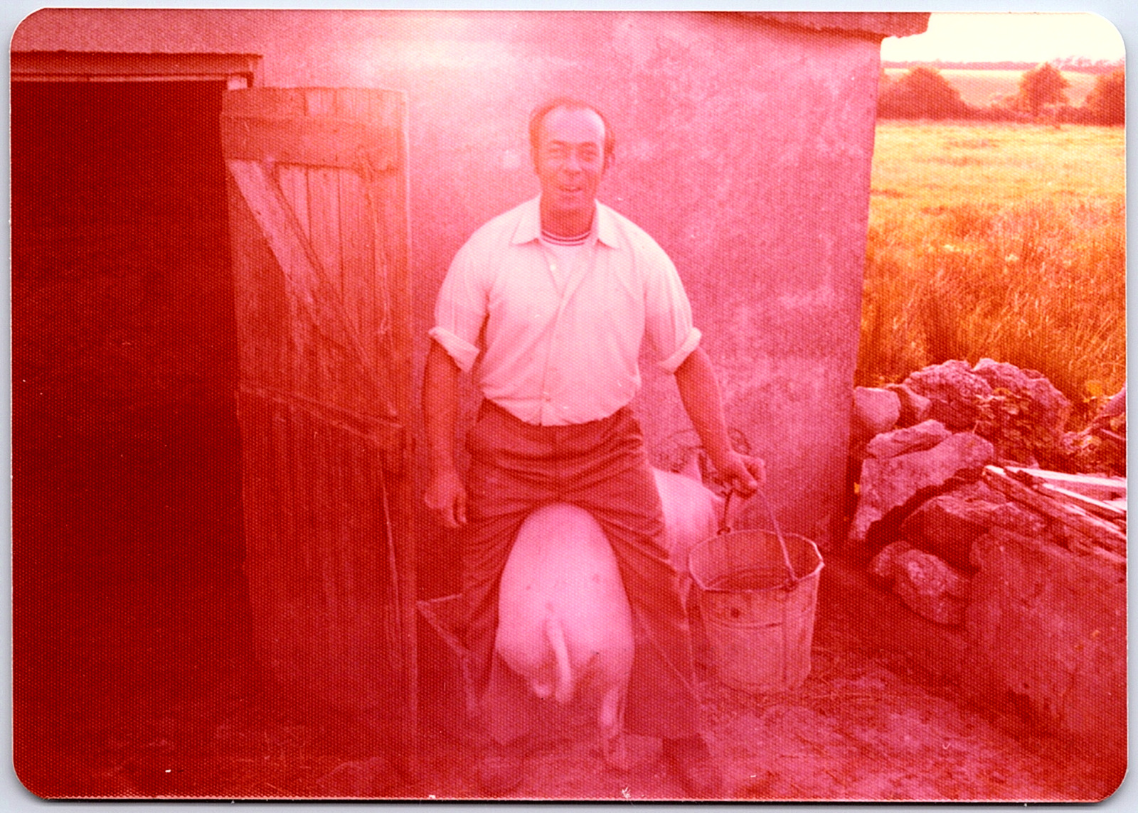 Vintage Found Photo - Funny Farmer Man Rides A Big Pig On A Pig Farm In Ireland