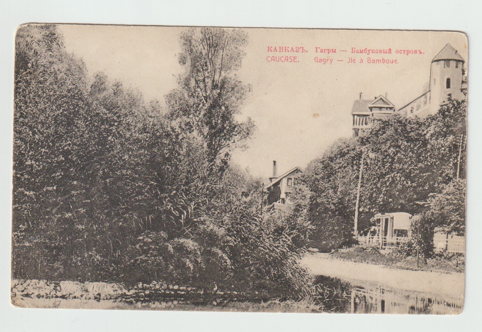 Postcard Postcard Caucasus, Gagra, Bamboo Island Old Views VTG