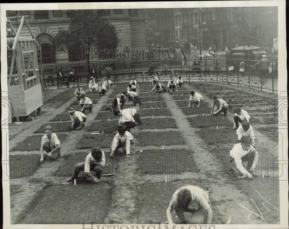 1927 Press Photo East Side boys are tending their little farms at Seward Park