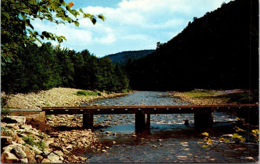 View of Loyalsock Creek at World\'s End Northern Pennsylvania Vintage Postcard