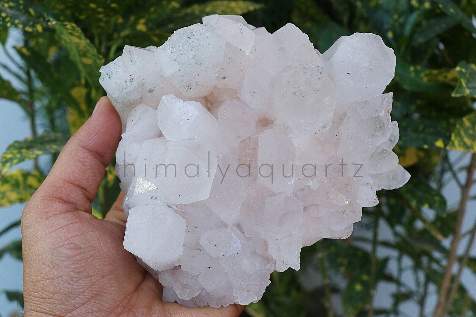 1.135kg White Samadhi Quartz Rough Cluster Crystal Rock Healing Fossils Mineral