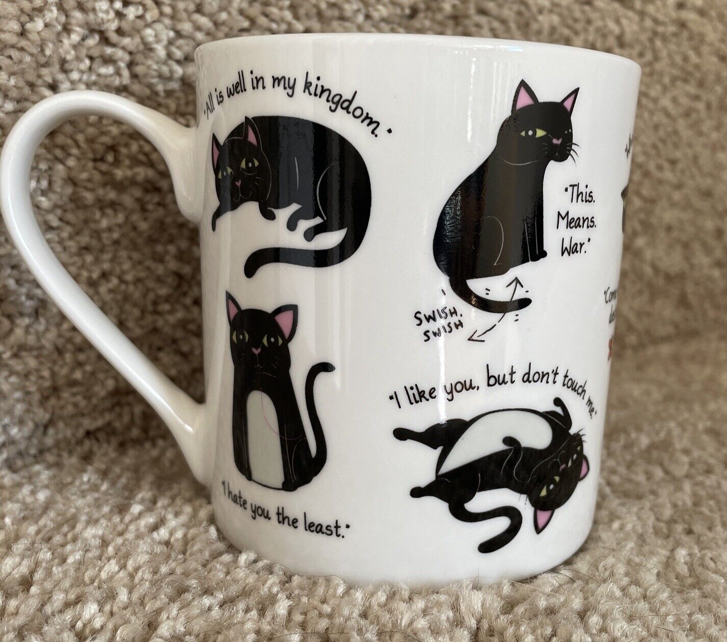CATTITUDE MUG - Funny Cat Guide Sayings - Gift For Black Cat Lovers EUC