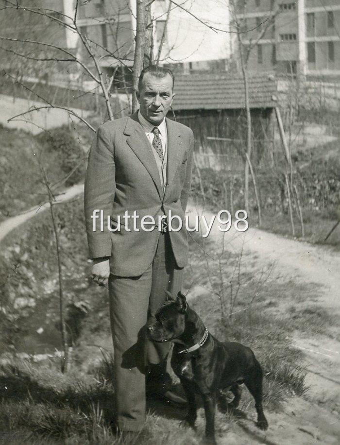 Y214 Vtg Photo SUITED MAN WITH PIT BULL DOG c 1953