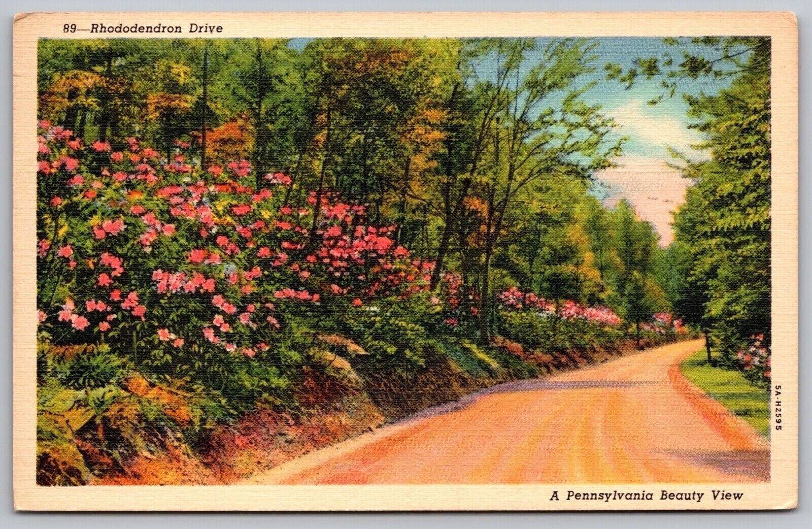 Rhododendron Drive Pennsylvania Country Road Flowers Linen Vintage WOB Postcard