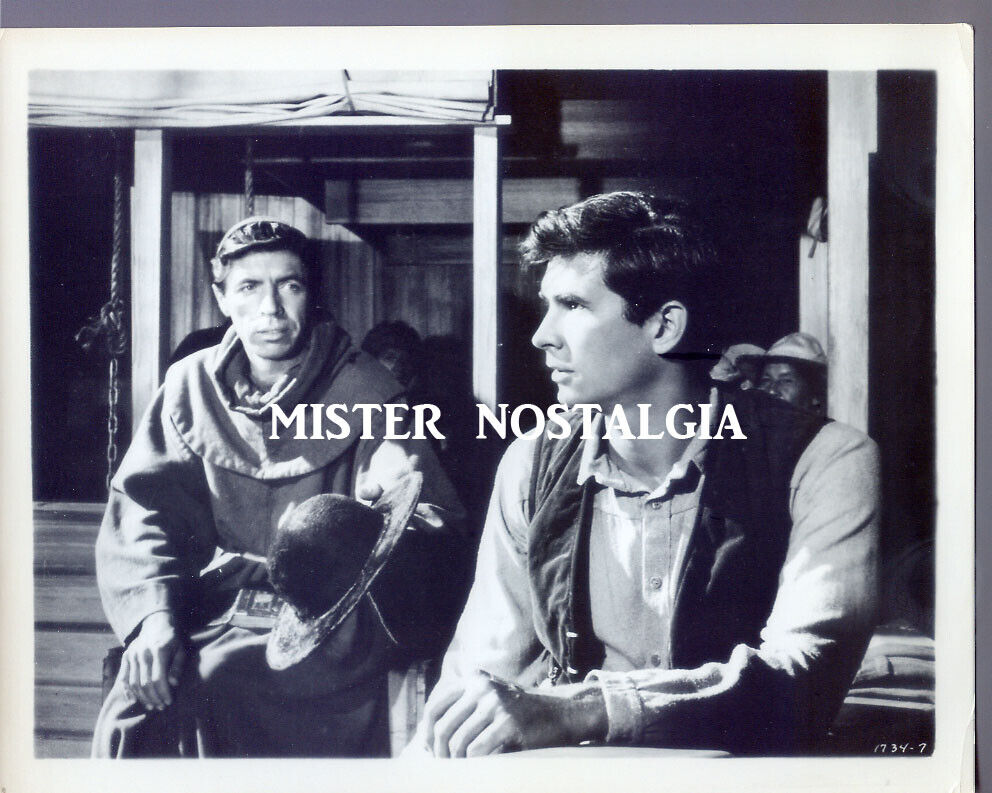 Vintage Photo 1959 Green Mansions Anthony Perkins #7