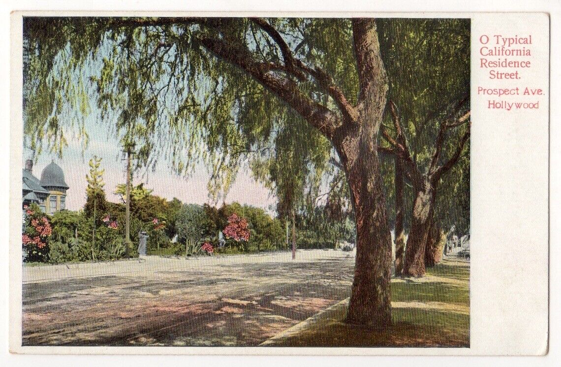 Hollywood Los Angeles California c1908 Prospect Avenue, Typical Residence Street