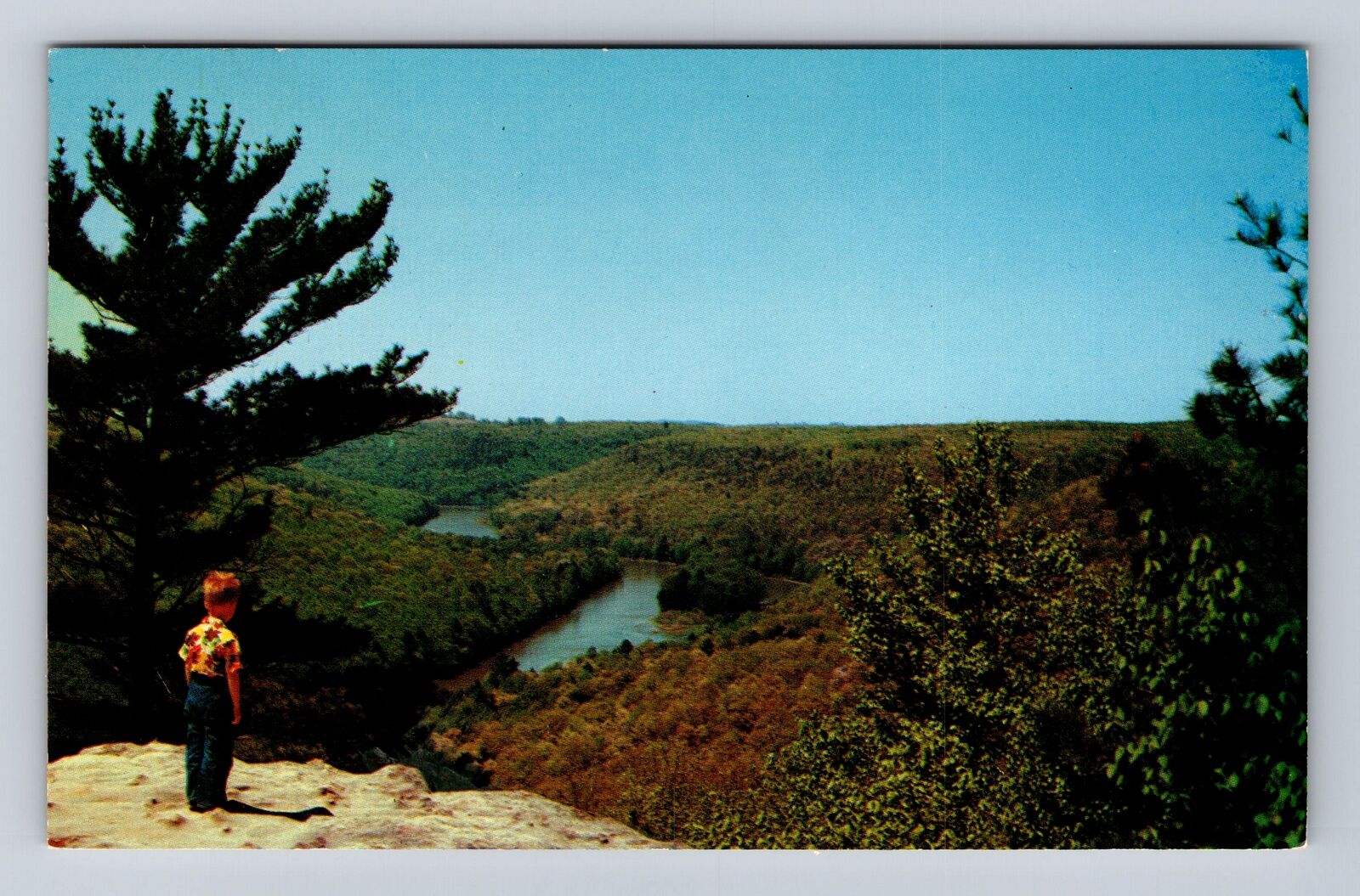 Cook Forest State Park PA-Pennsylvania, Clarion River Seneca Pt Vintage Postcard