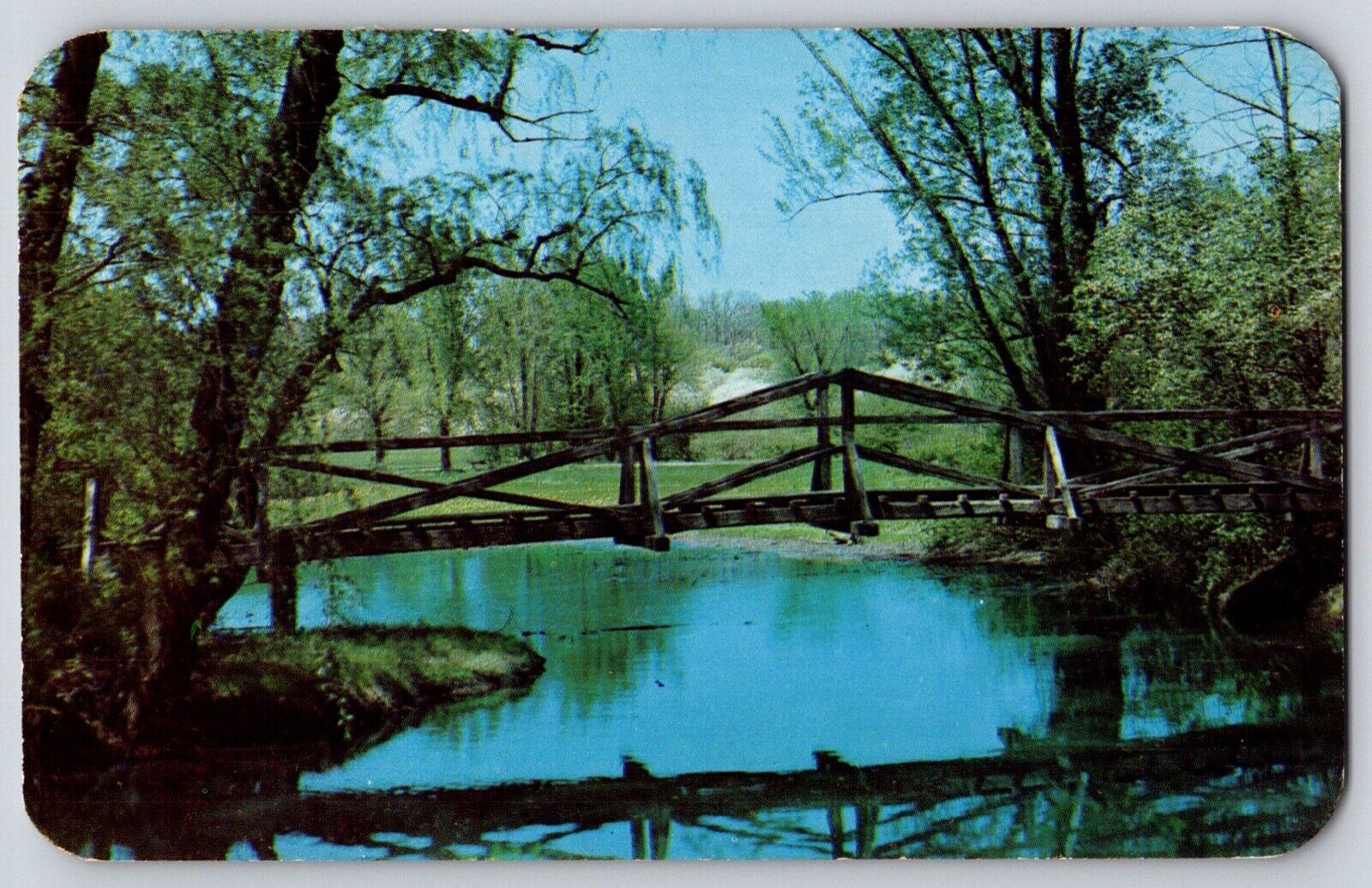 Postcard Lisle Illinois Morton Abboretum Foot Bridge Over Inlet