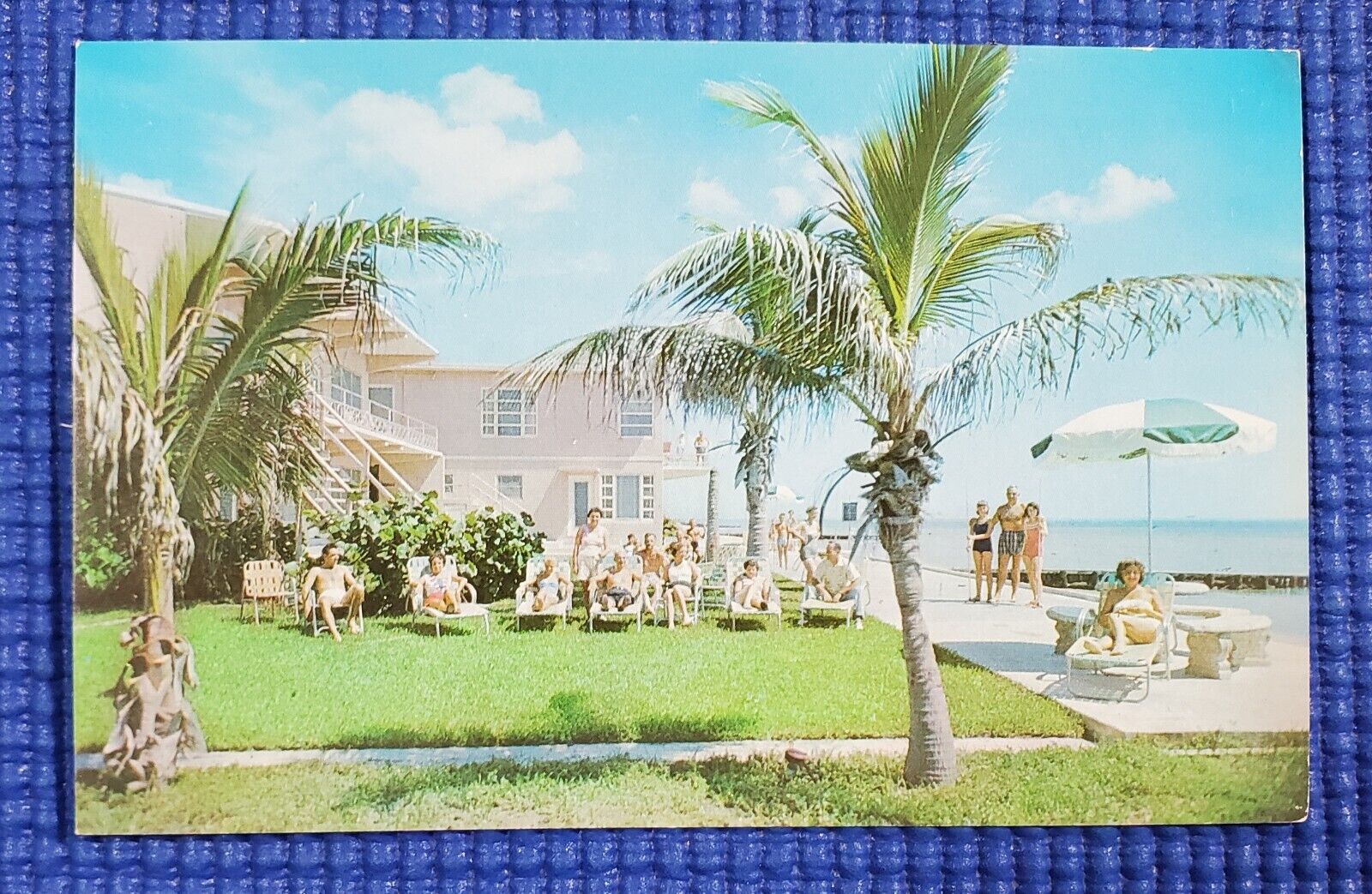 Vtg People Sunbathing at Sirocco Apartments & Motel Hollywood Beach FL Postcard