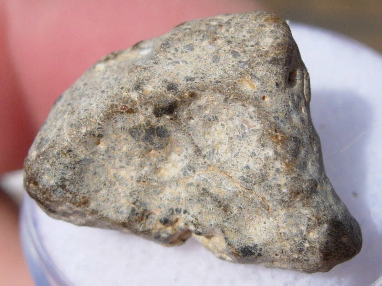 2.80 grams 16x9x7mm NWA 13974 Lunar as found Meteorite feldsp. breccia w/COA