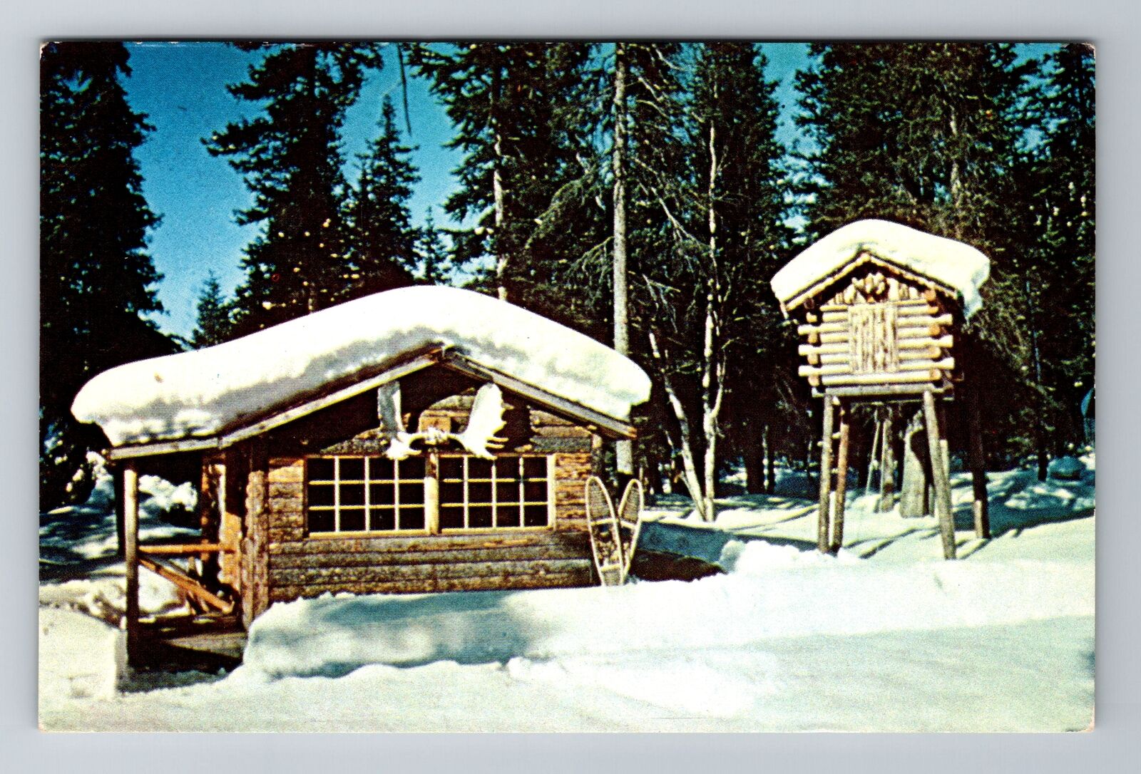 Alaska, AK-Alaska, Snow Covered Trapper's Cabin Antique, Vintage Postcard