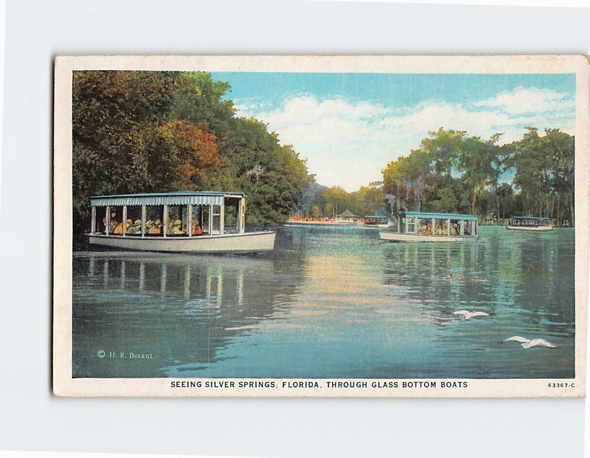 Postcard Glass Bottom Boats Silver Springs Florida USA