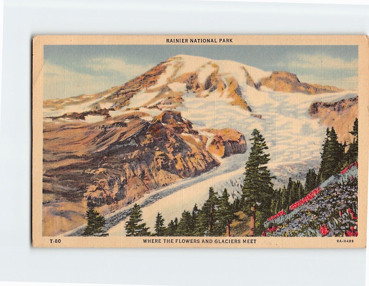 Postcard Where The Flowers And Glaciers Meet Rainier National Park WA USA