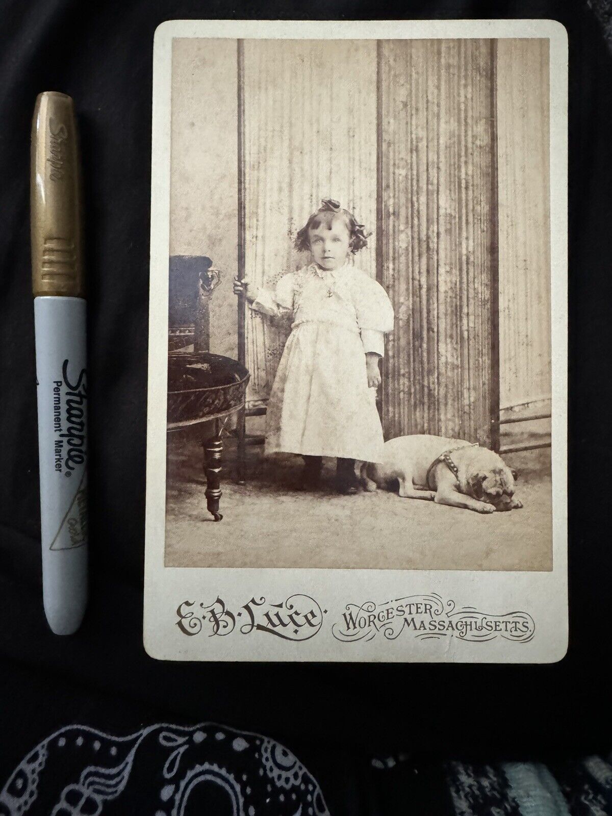 CDV PHOTO OF GIRL WITH PUG PUPPY