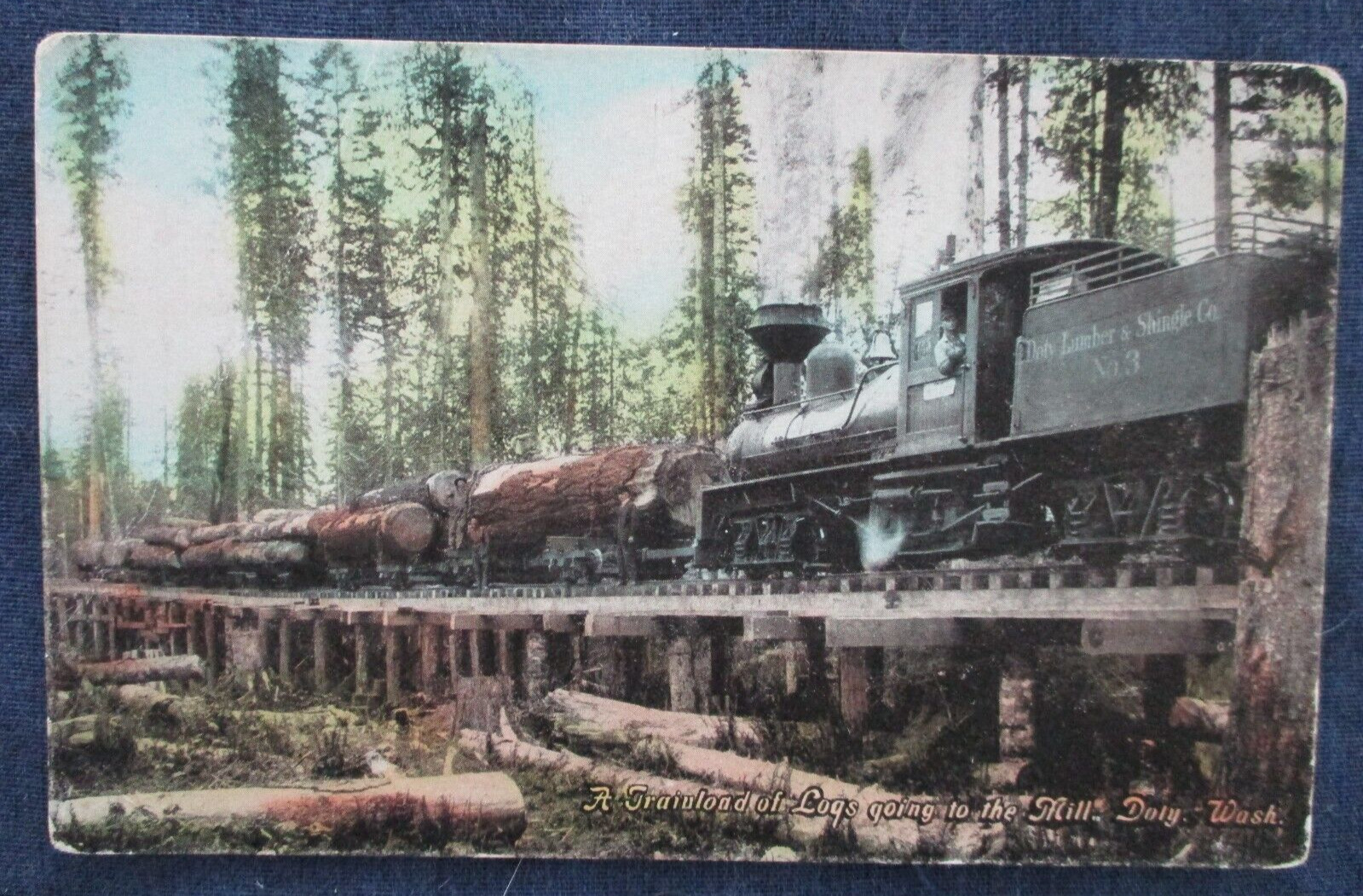 ca1910 Doty Washington Lumber & Shingle Co Logging Train & Logs Postcard