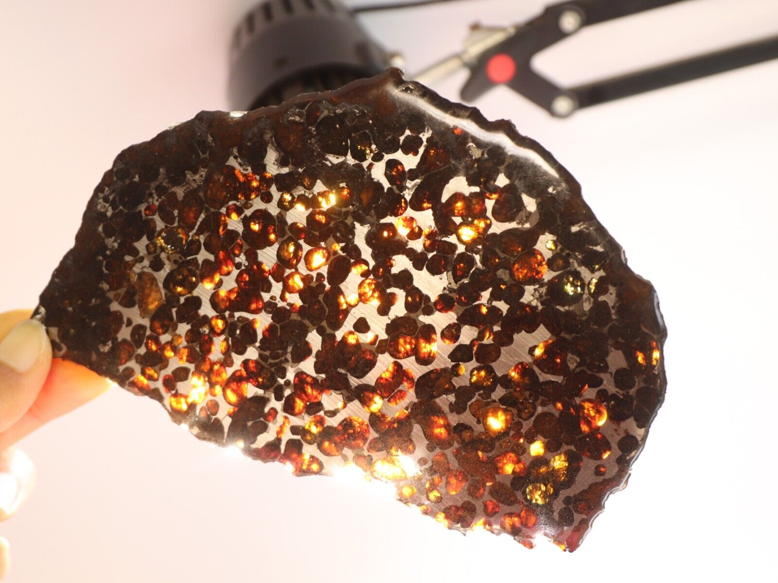 157g Natural meteorite,Slice olive meteorite-from Kenya SERICHO,collection N3745