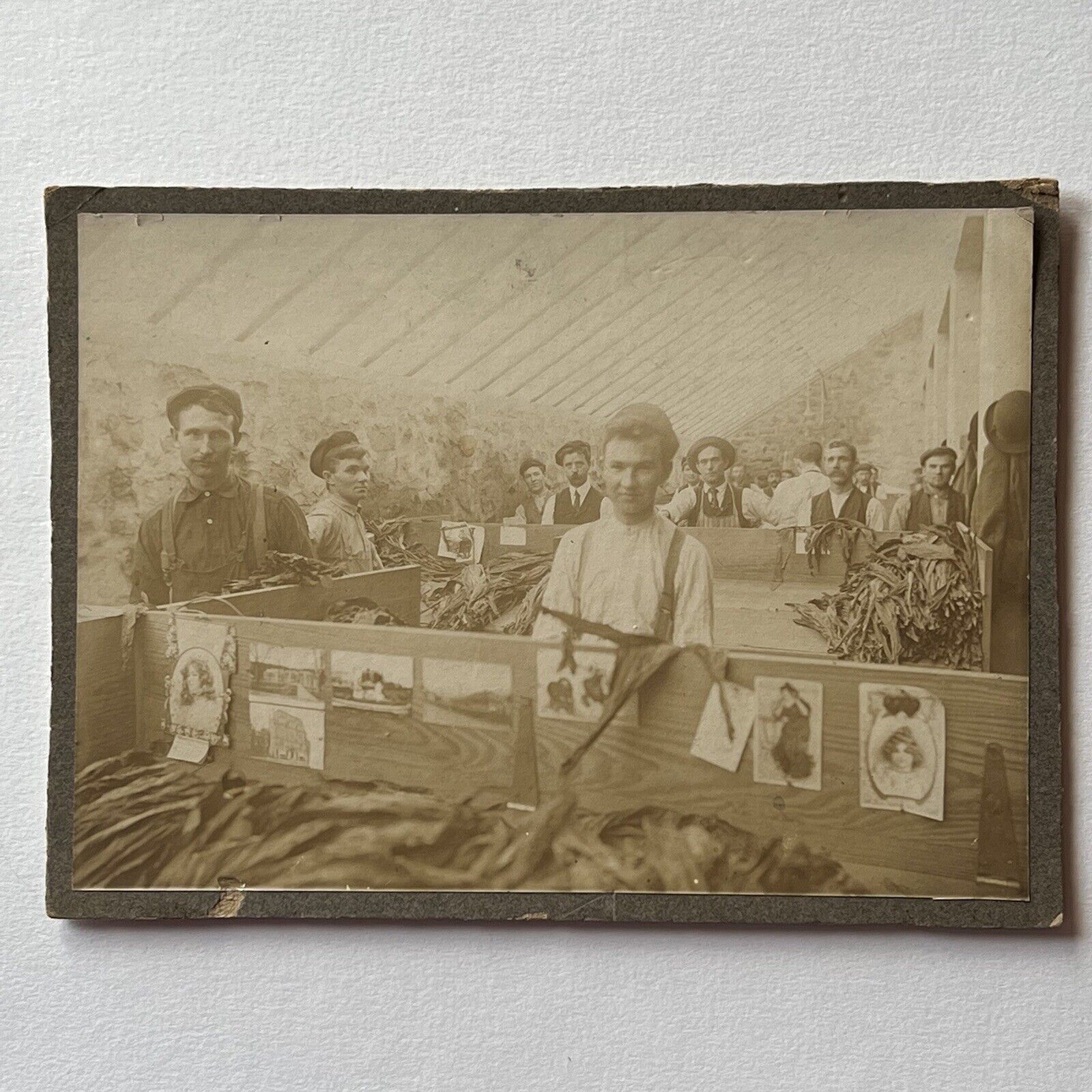 Antique Cabinet Card Photograph Men Tobacco Farm Occupational Tobacciana