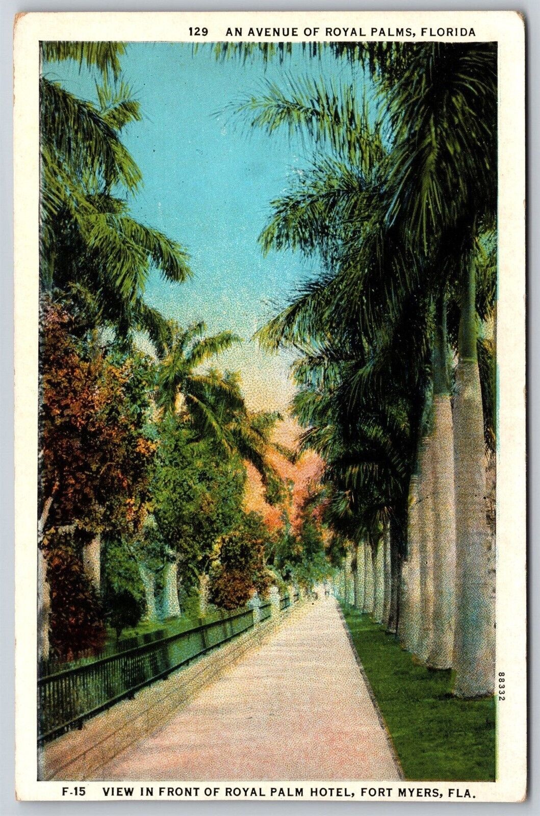Postcard An Avenue of Royal Palms, Florida Hotel, Fort Myers P120