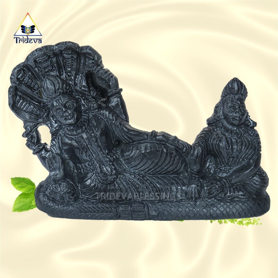 Sleeping Lord Laxmi Narayana Shaligram Idol / Lord Vishnu Laxmi Statue