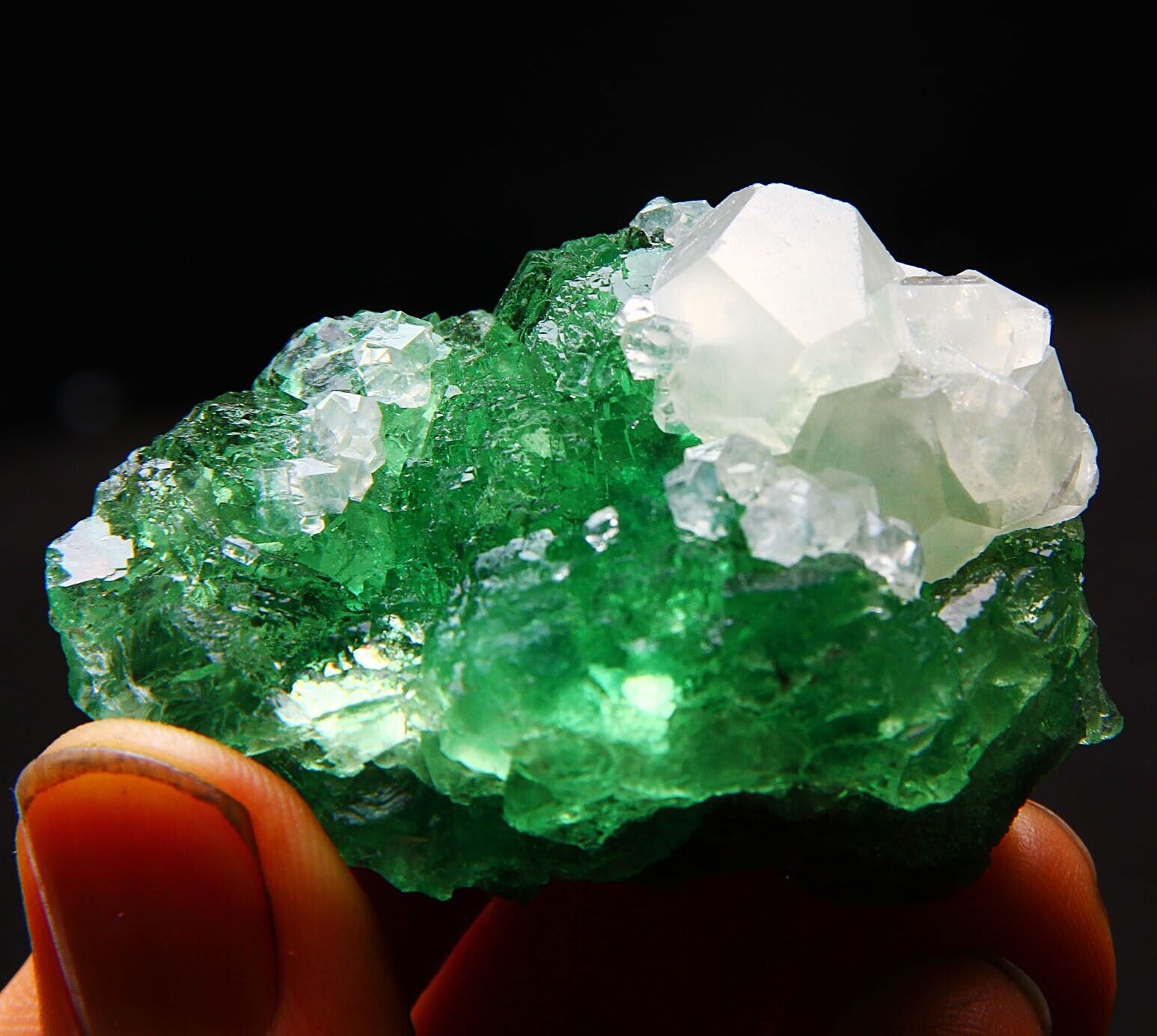 81 g natural spherical green fluorite associated white calcite specimen/China