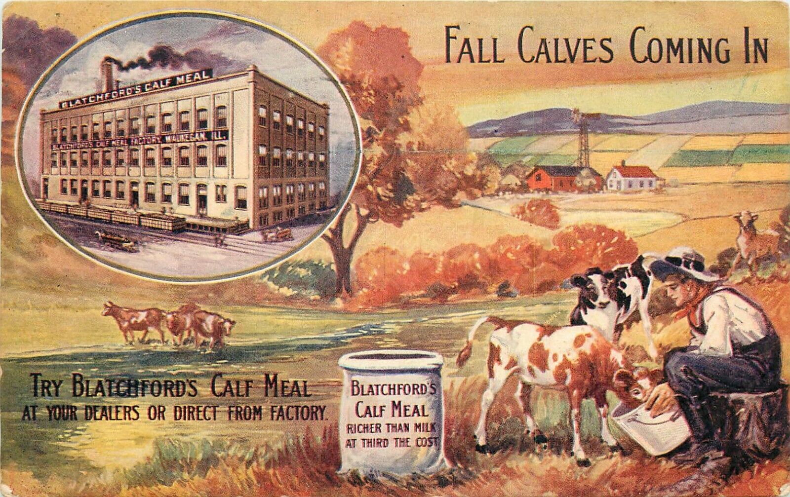 c1911 Advertising Postcard Blatchford\'s Calf Meal, Richer than Milk 1/3 the Cost