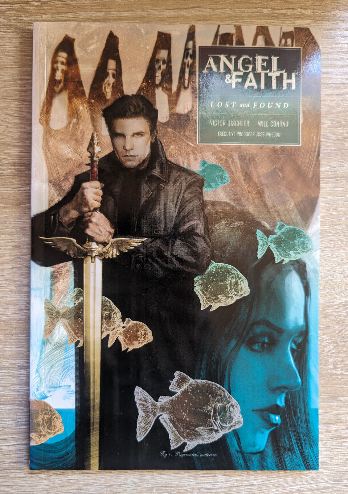 Angel & Faith Lost and Found Season 10 Volume 2 TPB Dark Horse Comics