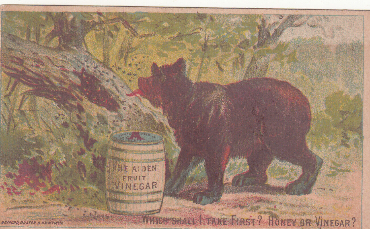 Alden Fruit Vinegar Bear Honey Degen & Kelley Jacksonville IL Vict Card c1880s
