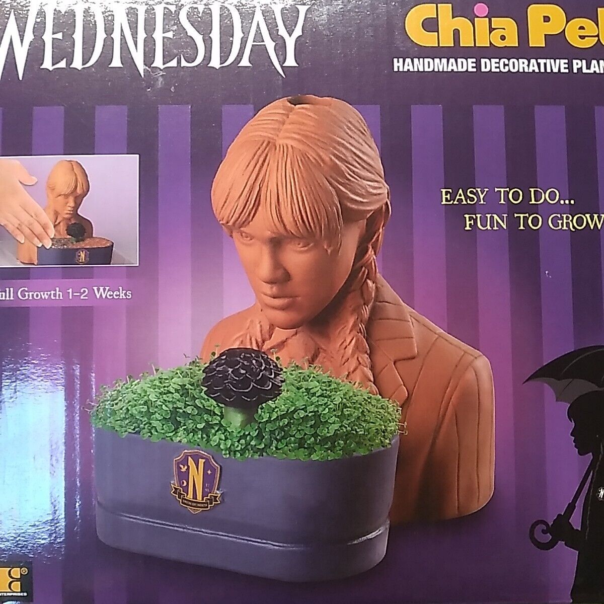 Chia Pet WEDNESDAY Decorative Pottery Planter Addam’s Family NEW in box,fastship