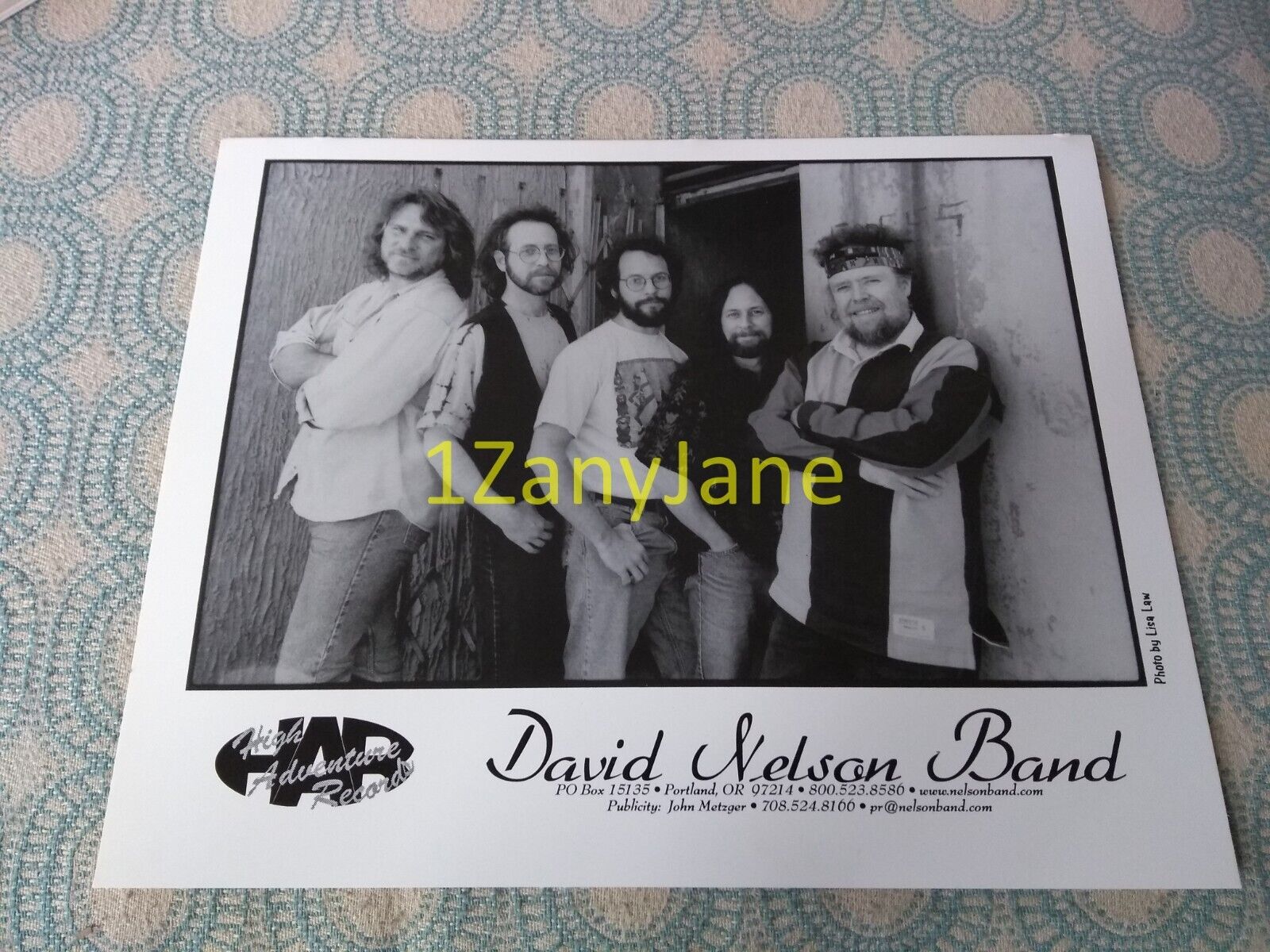 1989 Band 8x10 Press Photo PROMO MEDIA ,DAVID NELSON BAND, HIGH ADVENTURE RECORD