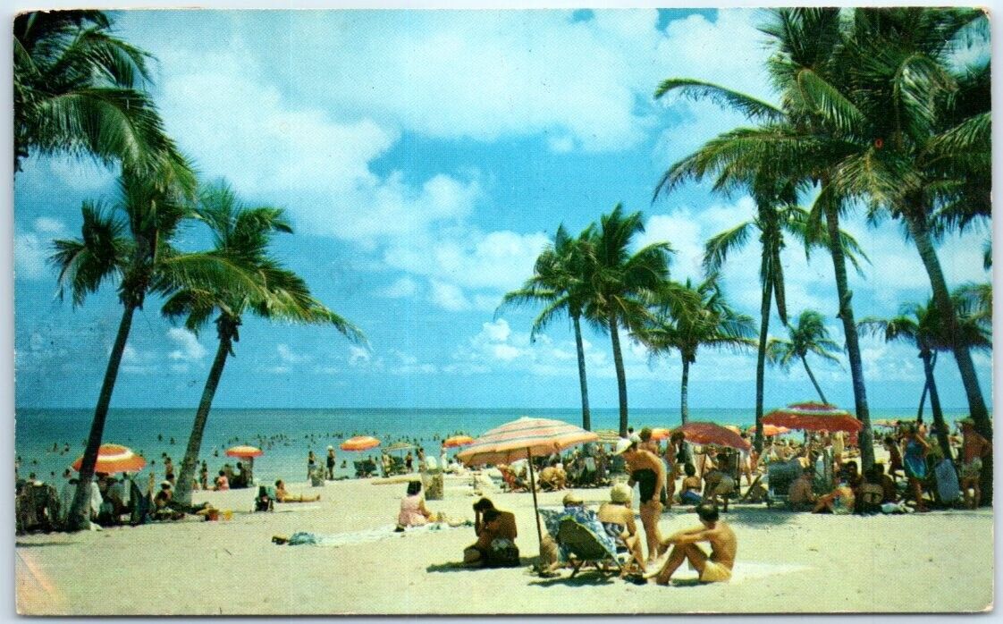 Postcard - A Lovely Florida Beach - Florida