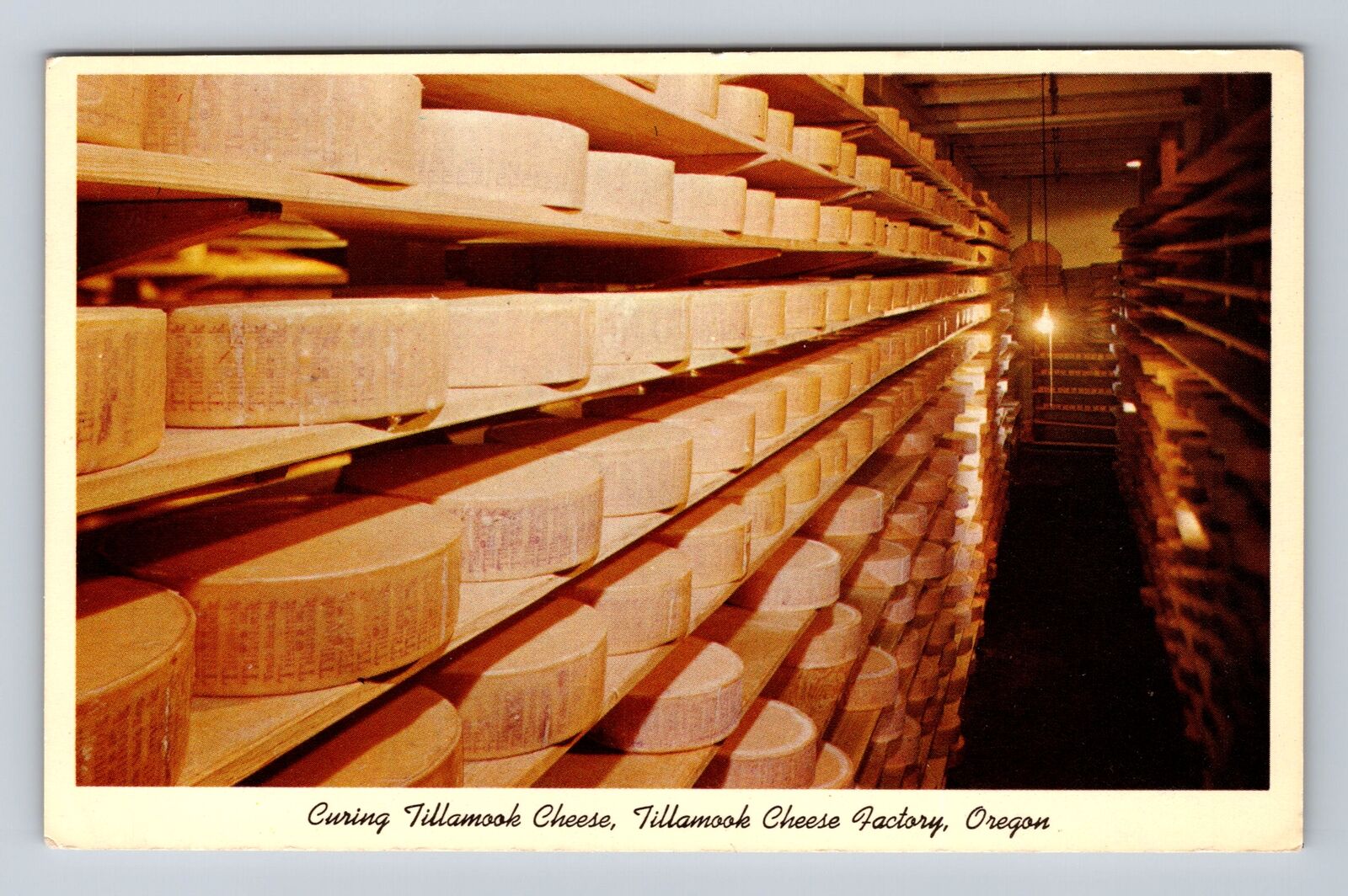 Tillamook OR-Oregon, Curing Tillamook Cheese Factory, Antique, Vintage Postcard